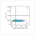 ABflo® 488 Rabbit anti-Human RANKL/CD254 mAb (100 T)