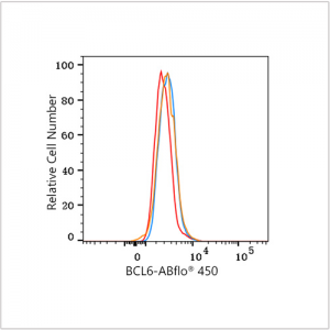 ABflo® 450 Rabbit anti-Human/Mouse BCL6 mAb (100 T)