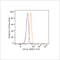 ABflo® 610 Rabbit anti-Human/Mouse BCL6 mAb (100 T)