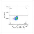 ABflo® 700 Rabbit anti-Human/Mouse BCL6 mAb (100 T)