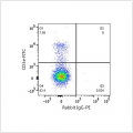 PE Rabbit anti-Mouse CD28 mAb (100 T)