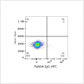 APC Rabbit anti-Human Podoplanin mAb (100 T)