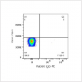 PE Rabbit anti-Human IgA1 mAb (100 T)