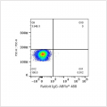 ABflo® 488 Rabbit anti-Human IgA1 mAb (100 T)