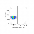 ABflo® 647 Rabbit anti-Human IgA1 mAb (100 T)