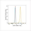 ABflo® 450 Rabbit anti-Human EGFR mAb (100 T)