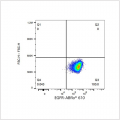 ABflo® 610 Rabbit anti-Human EGFR mAb (100 T)