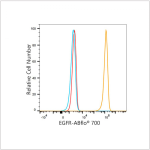 ABflo® 700 Rabbit anti-Human EGFR mAb (100 T)