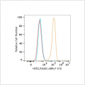 ABflo® 610 Rabbit anti-Human HER2/ErbB2 mAb (100 T)