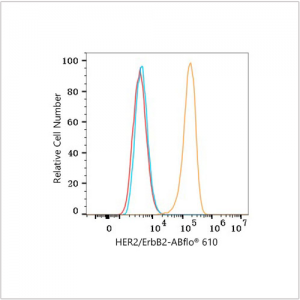 ABflo® 610 Rabbit anti-Human HER2/ErbB2 mAb (100 T)