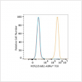 ABflo® 700 Rabbit anti-Human HER2/ErbB2 mAb (100 T)