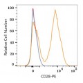 PE Rabbit anti-Human CD28 mAb (100 T)