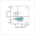 PE Rabbit anti-Human CD96/TACTILE mAb (100 T)