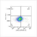PE Rabbit anti-Human LGR5 (GPR49) mAb (100 T)