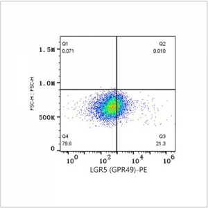 PE Rabbit anti-Human LGR5 (GPR49) mAb (100 T)