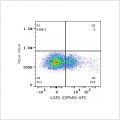 APC Rabbit anti-Human LGR5 (GPR49) mAb (100 T)