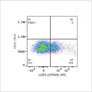 APC Rabbit anti-Human LGR5 (GPR49) mAb (100 T)