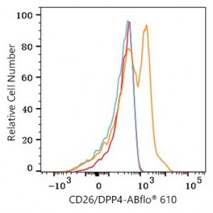 ABflo® 610 Rabbit anti-Human CD26/DPP4 mAb (100 T)