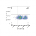 PE Rabbit anti-Human PTH1R mAb (100 T)