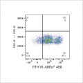 ABflo® 488 Rabbit anti-Human PTH1R mAb (100 T)
