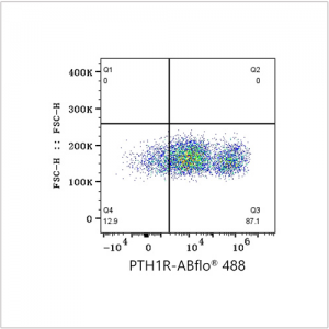 ABflo® 488 Rabbit anti-Human PTH1R mAb (100 T)