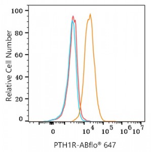 ABflo® 647 Rabbit anti-Human PTH1R mAb (100 T)