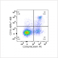 PE Rabbit anti-Human CD56/NCAM1 mAb (100 T)