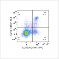 APC Rabbit anti-Human CD56/NCAM1 mAb (100 T)