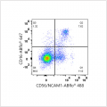 ABflo® 488 Rabbit anti-Human CD56/NCAM1 mAb (100 T)