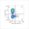 ABflo® 610 Rabbit anti-Human CD56/NCAM1 mAb (100 T)