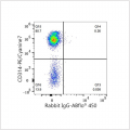 ABflo® 450 Rabbit anti-Human CD2 mAb (100 T)