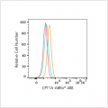 ABflo® 488 Rabbit anti-Human CPT1A mAb (100 T)
