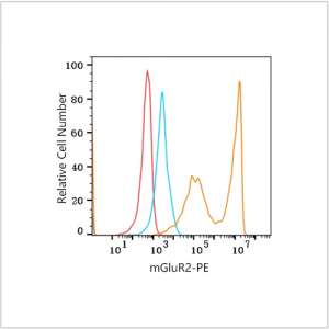 PE Rabbit anti-Human mGluR2 mAb (100 T)