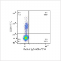 ABflo® 610 Rabbit anti-Human CD335/NKp46 mAb (100 T)