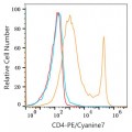 PE/Cyanine7 Rabbit anti-Mouse CD4 mAb (100 T)
