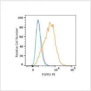 PE Rabbit anti-Human FGFR3 mAb (100 T)