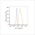 PE Rabbit anti-Human HIF-1 alpha mAb (100 T)
