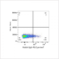 PE/Cyanine7 Rabbit anti-Human/Monkey CD8a mAb (100 T)