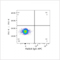 APC Rabbit anti-Human/Monkey CD20 mAb (100 T)