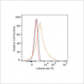 PE Rabbit anti-Human Calreticulin mAb (100 T)
