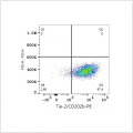 PE Rabbit anti-Human Tie-2/CD202b mAb (100 T)