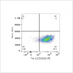 PE Rabbit anti-Human Tie-2/CD202b mAb (100 T)