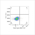 ABflo® 647 Rabbit anti-Human Tie-2/CD202b mAb (100 T)