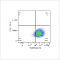 PE Rabbit anti-Human TMPRSS2 mAb (100 T)