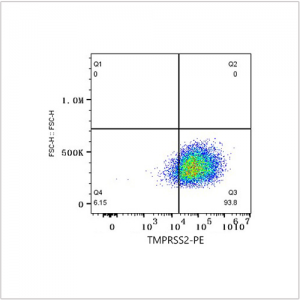 PE Rabbit anti-Human TMPRSS2 mAb (100 T)