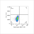 ABflo® 450 Rabbit anti-Human CD90/Thy1 mAb (100 T)