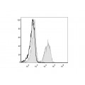 PE Anti-Mouse CD19 Antibody (50 T)