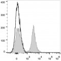 PE/Cyanine7 Anti-Mouse CD19 Antibody (20 T)