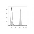 AF647 Anti-Mouse CD19 Antibody (20 T)