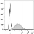 APC Anti-Mouse CD86 Antibody (25 μg)